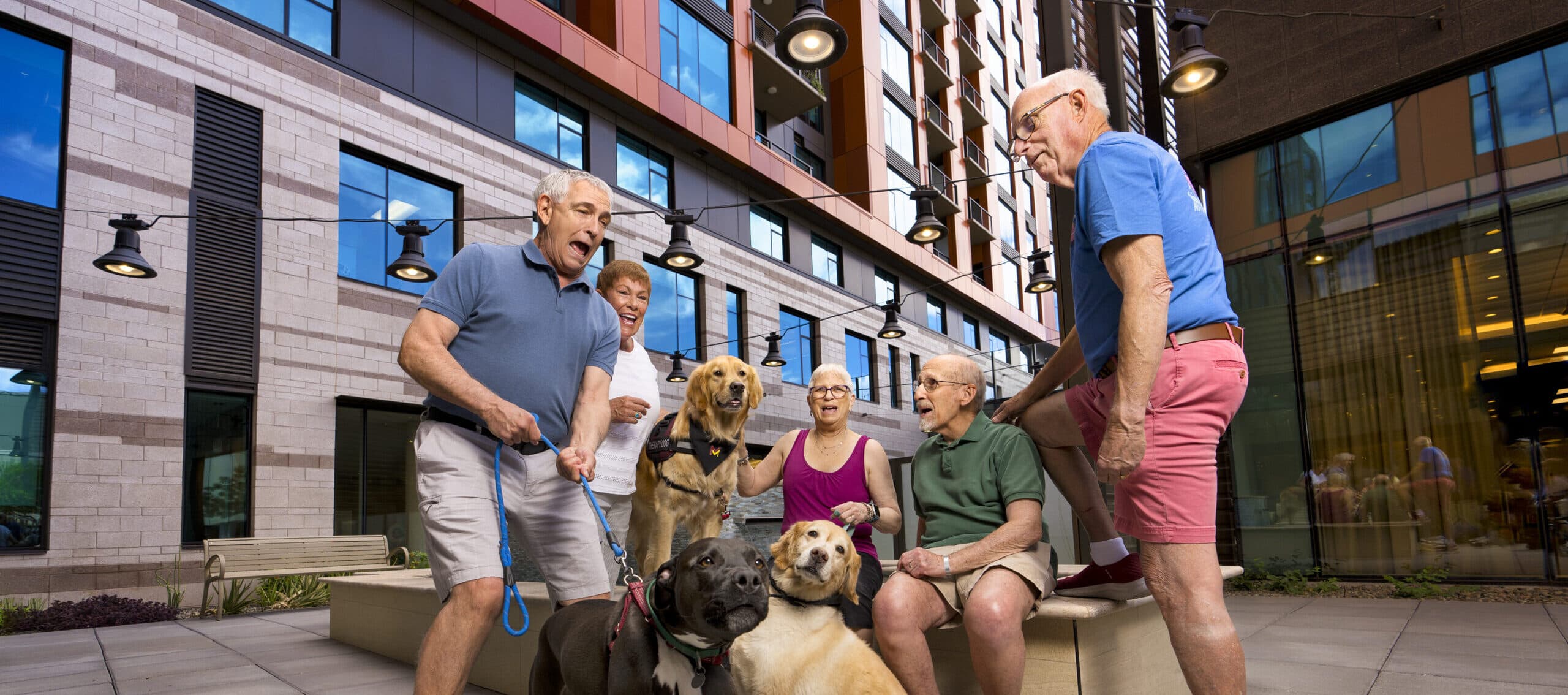 A playful group of friends struggles to restrain dogs on leashes.